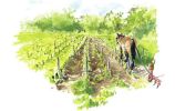 Quatre saisons de la vigne Le printemps Illustration 2