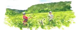 Quatre saisons de la vigne Le printemps Illustration 3